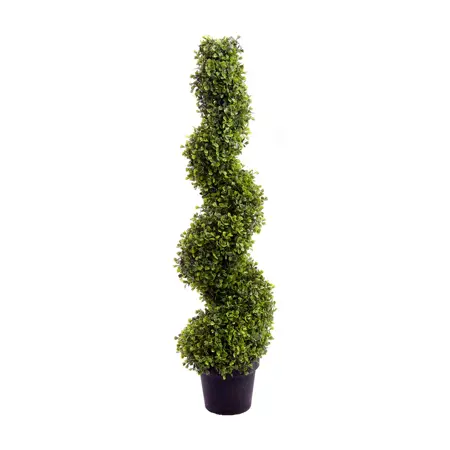 Boxwood Spiral Tree 4ft - image 1