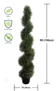 Cedar 5ft Spiral Tree - image 2