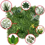 Living Wall Mat 100cmx100cm - image 3